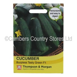 Thompson & Morgan Cucumber Burpless Tasty Green